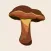 Bolete Filter