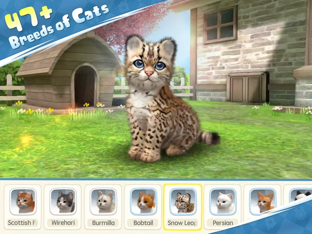 Скриншоты My Cat:Pet Game Simulator iPad 