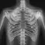 Xray Anatomy Study
