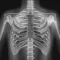 Xray Anatomy Study