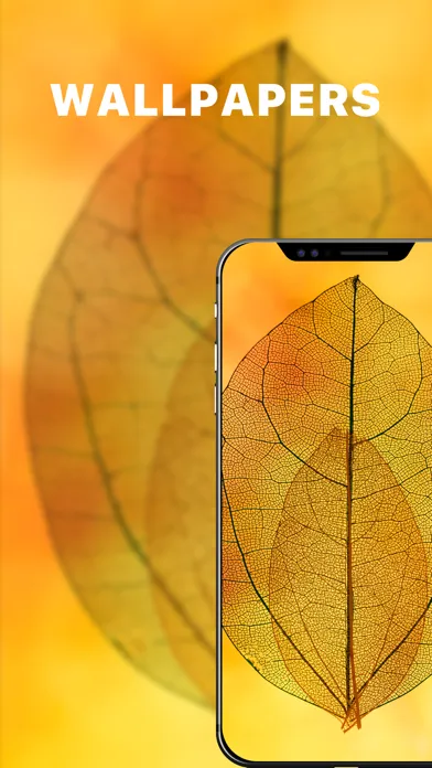 Live Wallpapers 4K & Themes应用截图