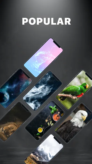 Live Wallpapers 4K & Themes应用截图