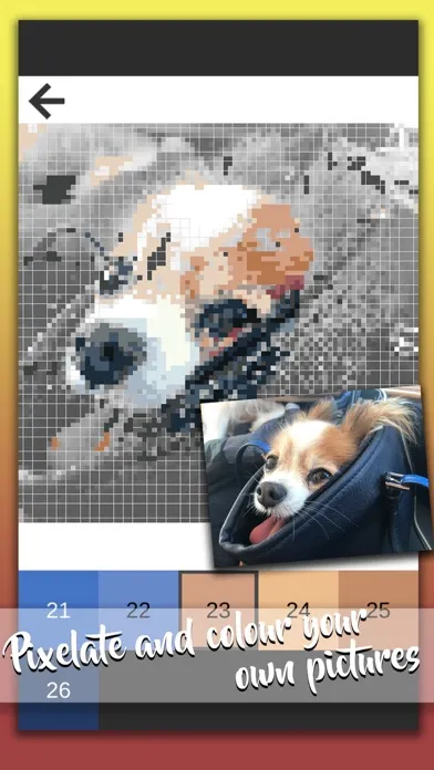 ภาพหน้าจอของ Pixel Photo – Sandbox Coloring