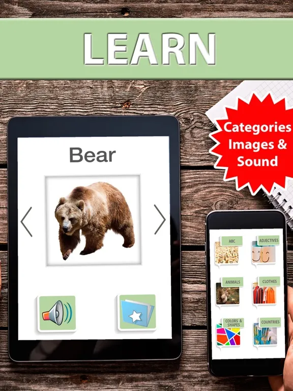 Learn and practice English vocabulary list & cards iPad 应用截图