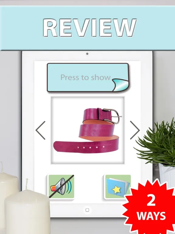 Learn and practice English vocabulary list & cards iPad 应用截图