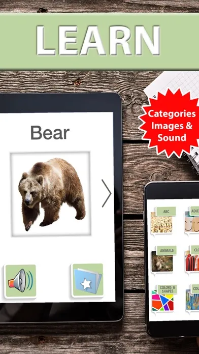 Learn and practice English vocabulary list & cards应用截图