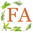 Foundational Aromatherapy Foundational Aromatherapy