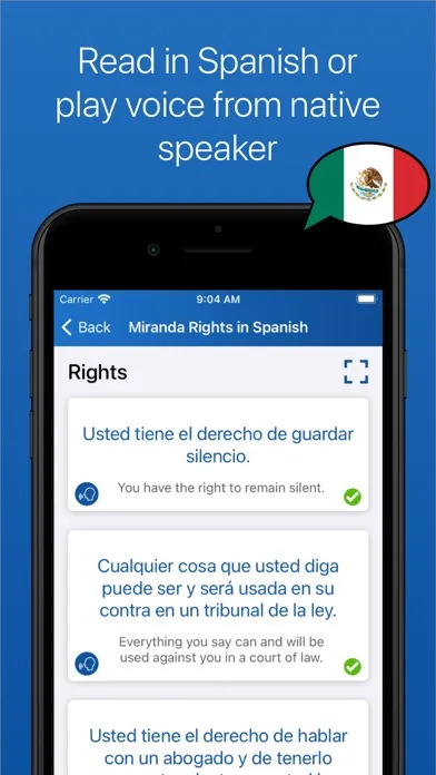 Скриншоты Miranda Rights