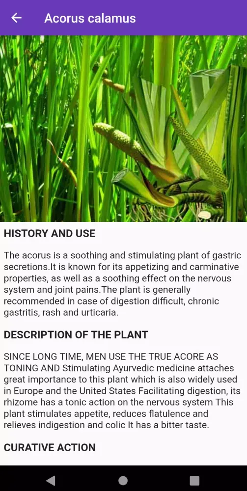 تصاویر Medicinal plants lite