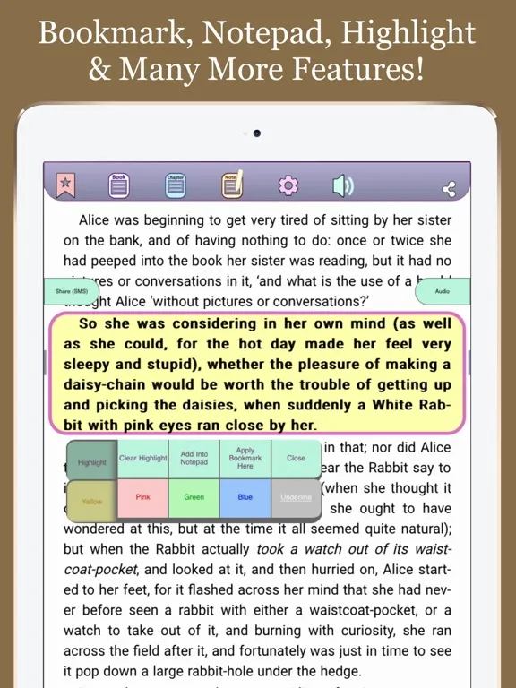 Gutenberg Reader PRO: No ADS! iPad  سکرین شاٹس
