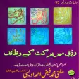 Book 022 Faiz Ahmed Uwaysi