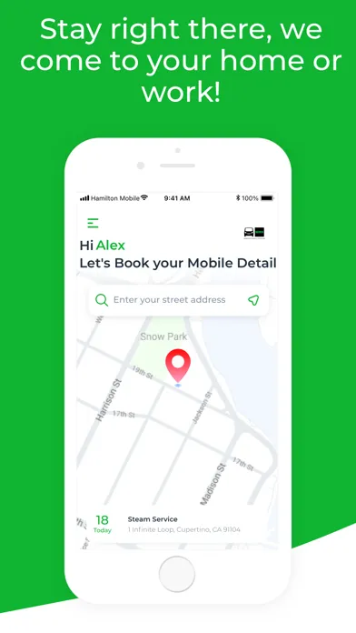 Zrzuty ekranu Hamilton Mobile Detailing