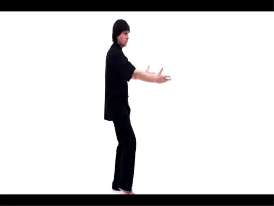 Zrzuty ekranu ANATOMY & TAI CHI AR iPad 