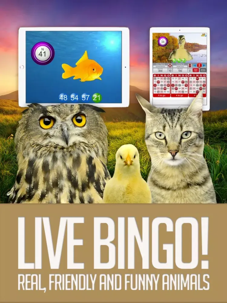 ANIMAL BINGO - Live Animal Bingo & Slots! iPad 应用截图