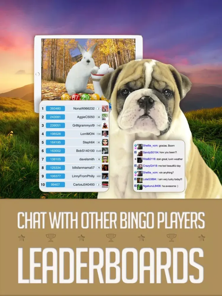 ANIMAL BINGO - Live Animal Bingo & Slots! iPad 应用截图