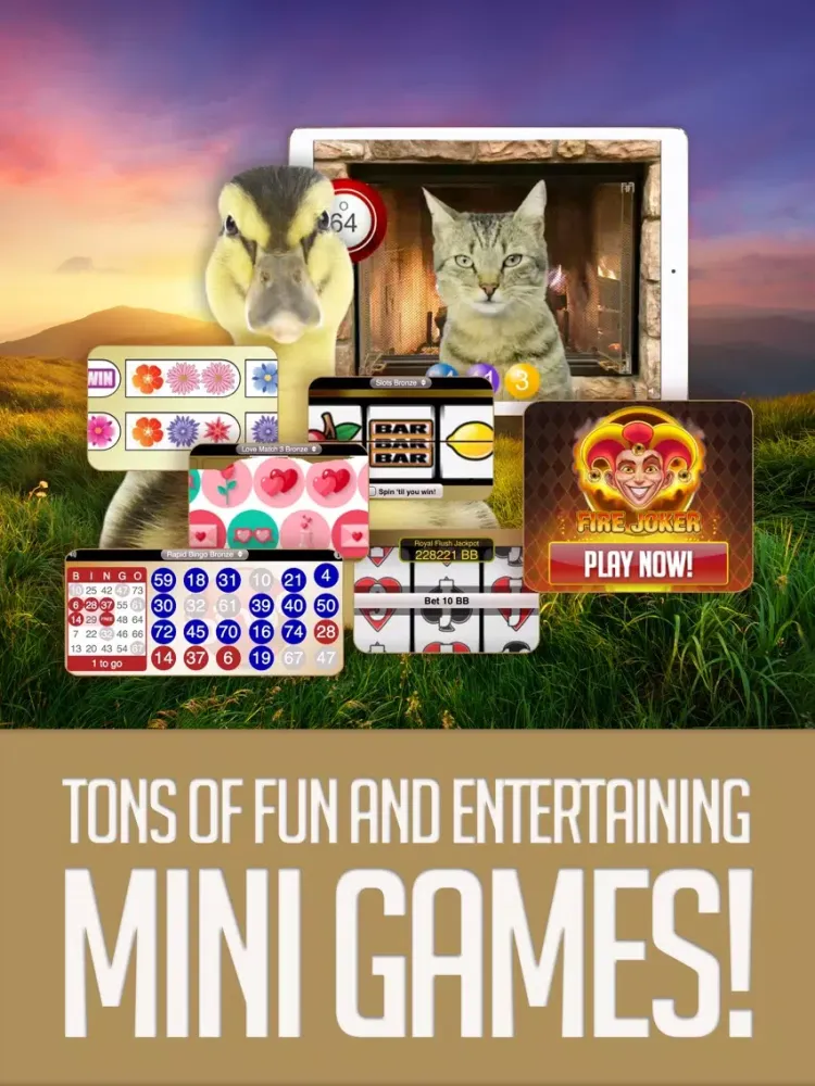 ANIMAL BINGO - Live Animal Bingo & Slots! iPad 应用截图