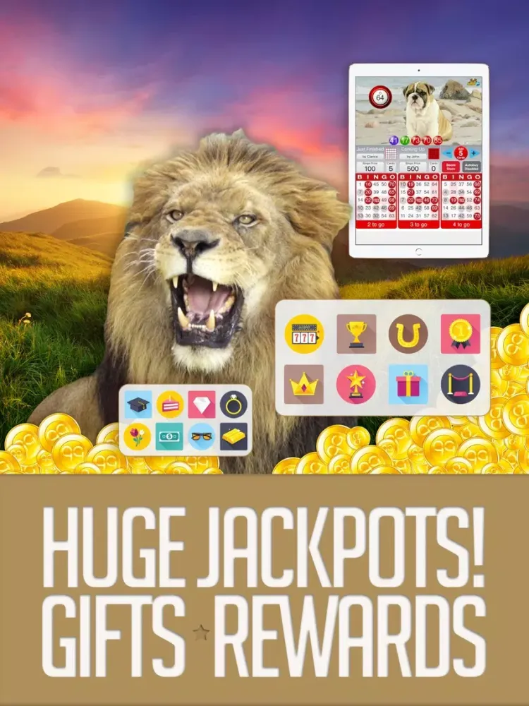 ANIMAL BINGO - Live Animal Bingo & Slots! iPad 应用截图