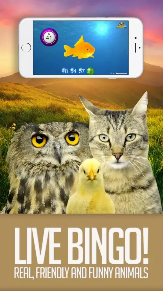 ANIMAL BINGO - Live Animal Bingo & Slots!应用截图