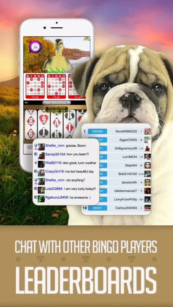 ANIMAL BINGO - Live Animal Bingo & Slots!应用截图