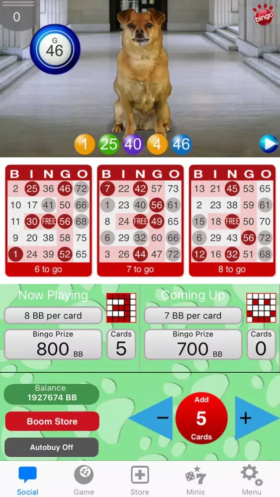 Capturas de pantalla de DOG BINGO - Live Dog Bingo & Slots!