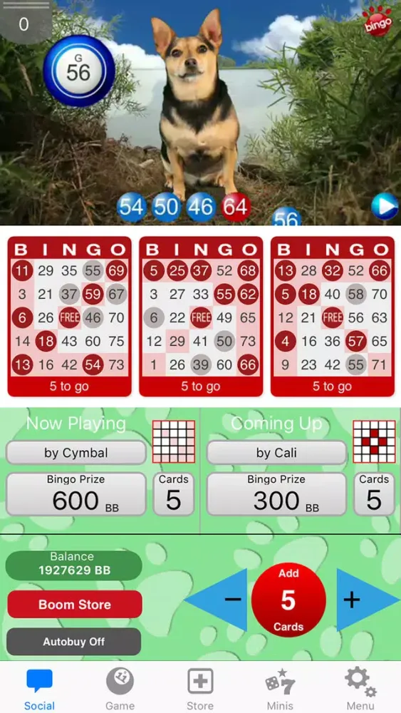 Capturas de pantalla de DOG BINGO - Live Dog Bingo & Slots!