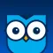 Owl Decide