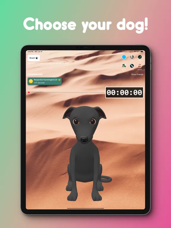 SnootBooper iPad  스크린샷