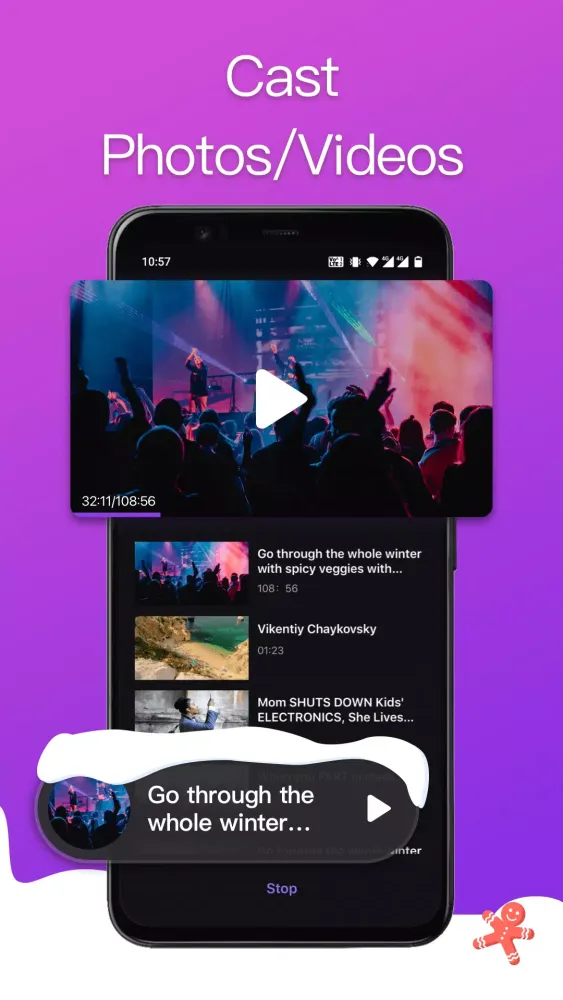 Remote for Roku TV & Roku Stick Screenshots