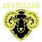 Anatolian Grill Cardiff