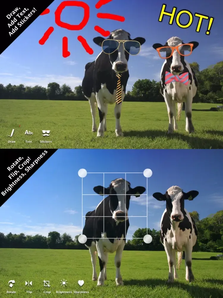 ภาพหน้าจอของ Amazing Photo Editor HD iPad 