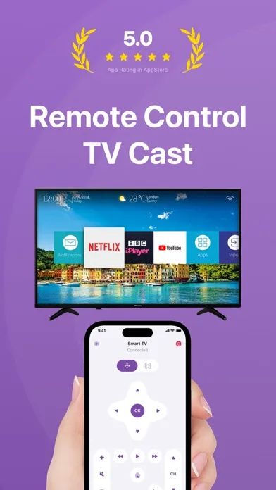 Roku Remote TCL Cast Control应用截图