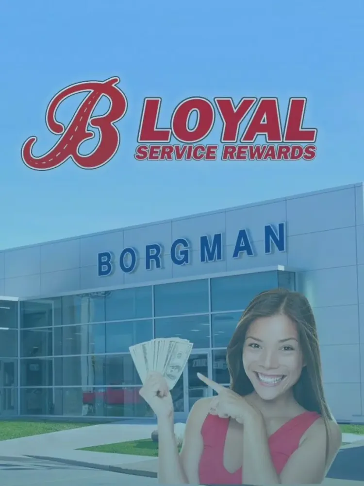 Capturas de tela do Borgman Ford Mazda iPad 