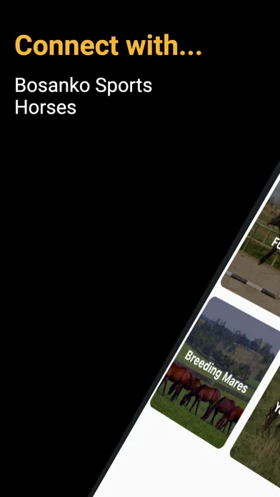 Capturas de tela do Bosanko Sports Horses