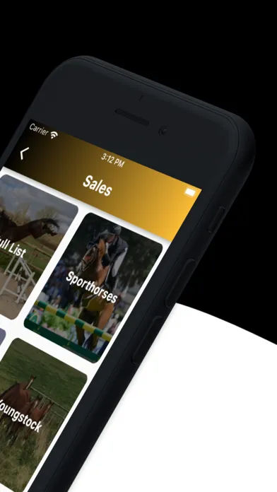 Capturas de tela do Bosanko Sports Horses