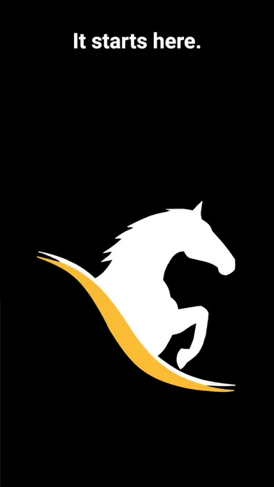 Capturas de tela do Bosanko Sports Horses