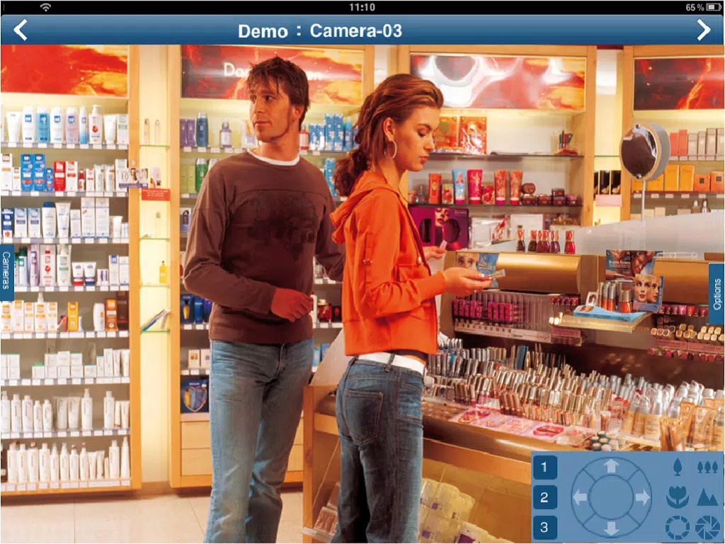 Tangkapan layar Bosch DVR Client iPad 