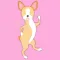 Boston Terrier Shuffle Blonde