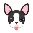 Boston Bull Terrier Keyboard