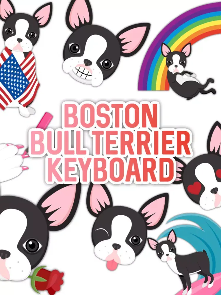 Boston Bull Terrier Keyboard iPad  Screenshots