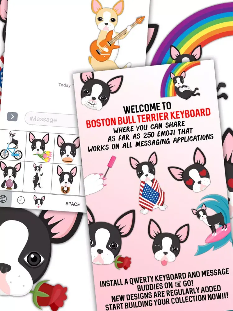 Boston Bull Terrier Keyboard iPad  Screenshots