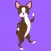 Boston Terrier Shuffle Chocolate