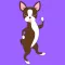 Boston Terrier Shuffle Chocolate