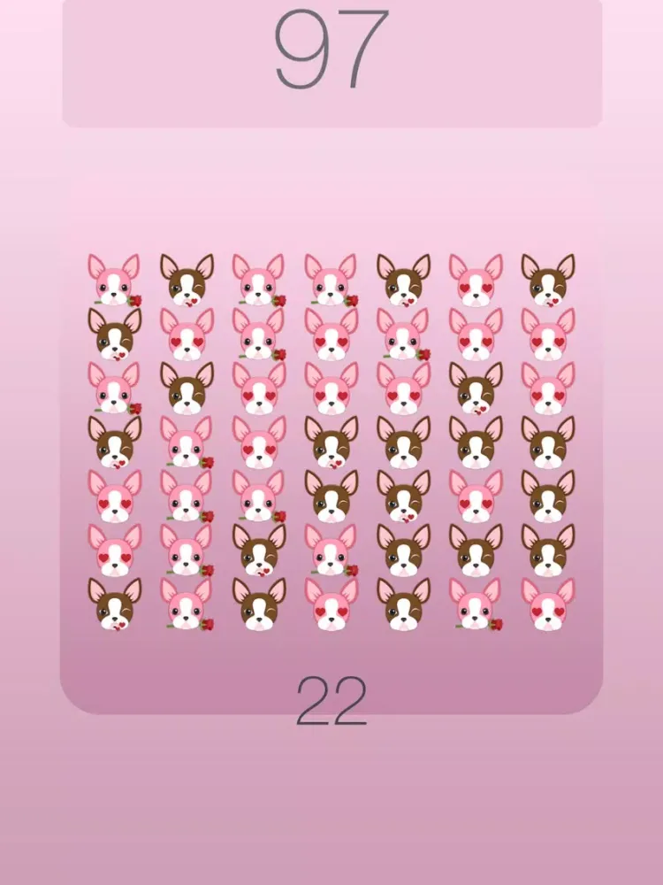 تصاویر Boston Terrier Shuffle Chocolate iPad 
