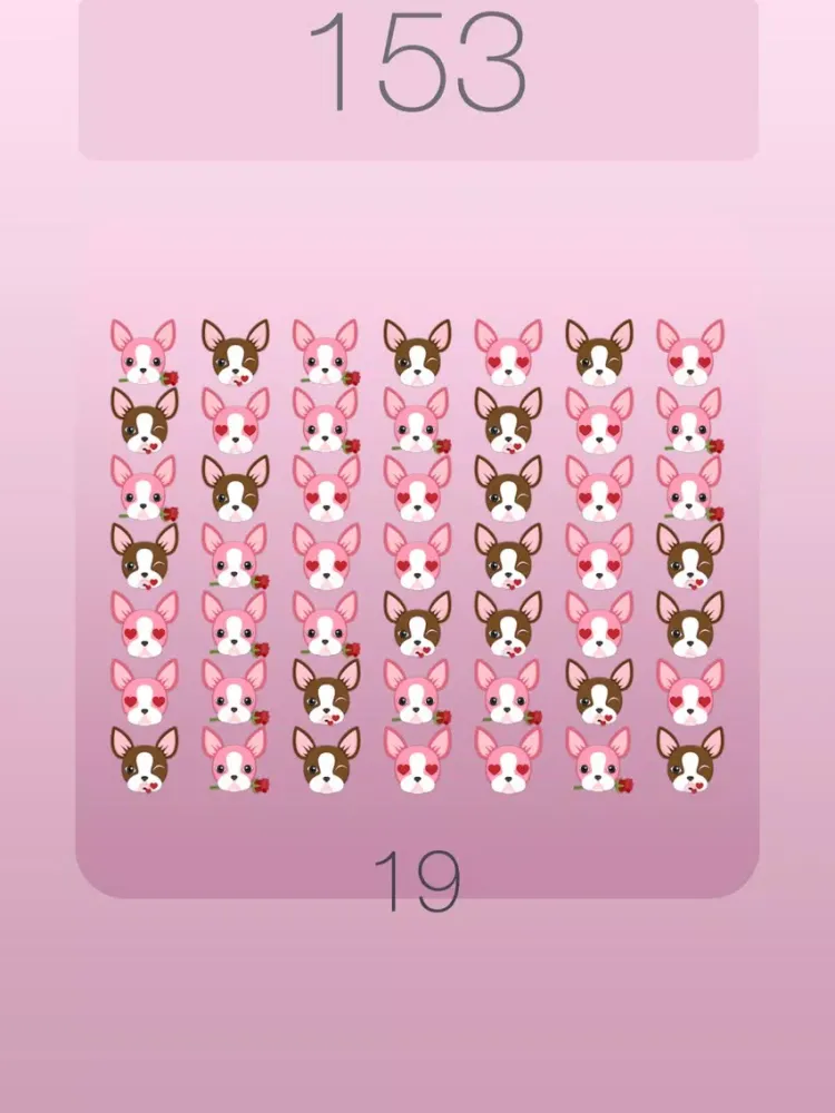 تصاویر Boston Terrier Shuffle Chocolate iPad 