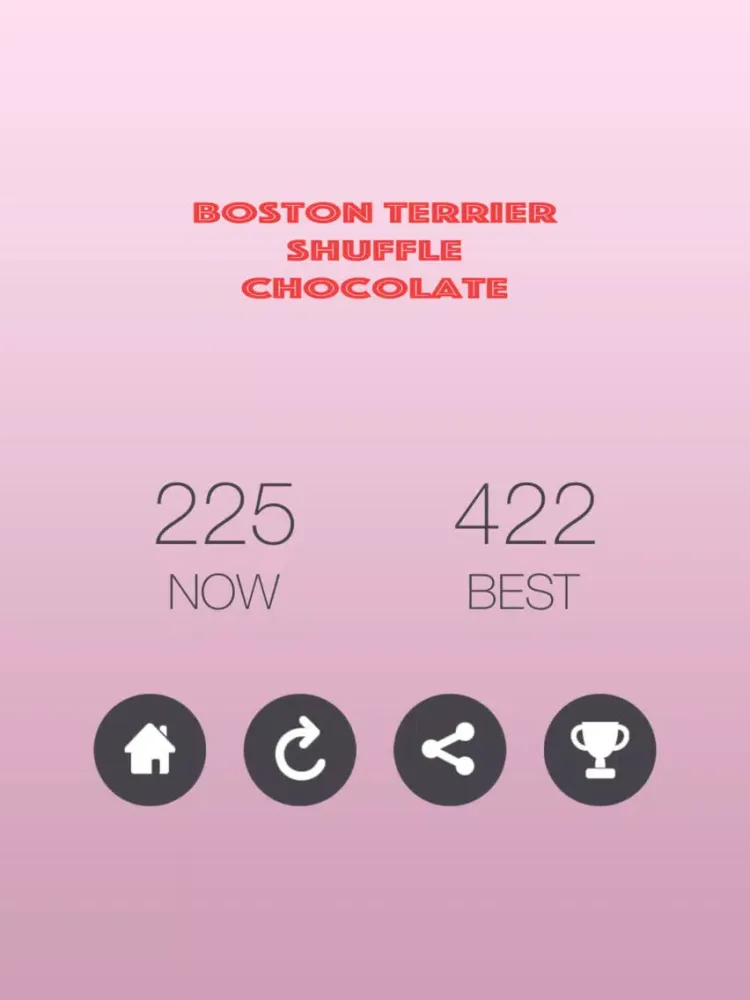 تصاویر Boston Terrier Shuffle Chocolate iPad 