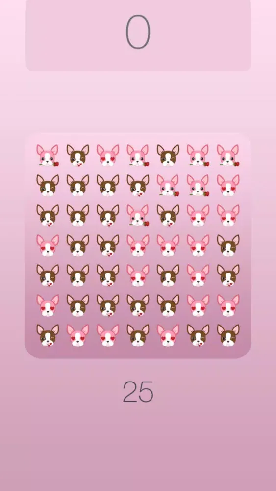 تصاویر Boston Terrier Shuffle Chocolate