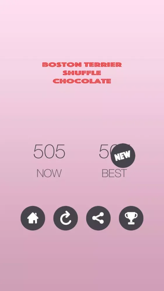 تصاویر Boston Terrier Shuffle Chocolate