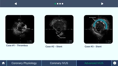 Скриншоты IVUS + Physiology Pro