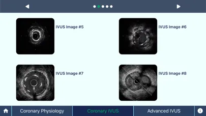 Скриншоты IVUS + Physiology Pro
