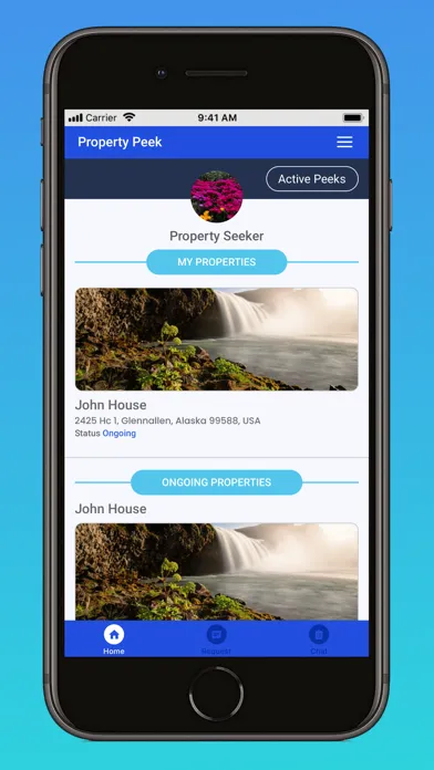 Property Peek应用截图